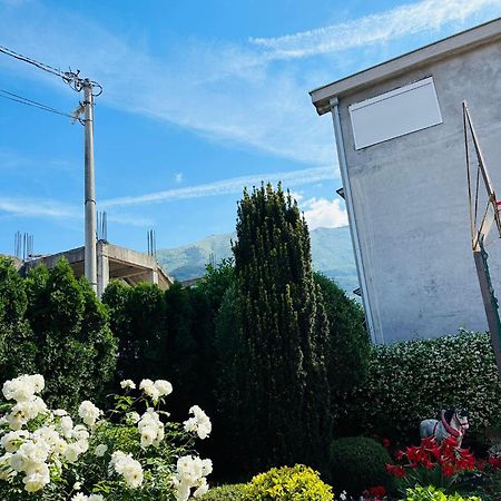 Appartement Green Oasis à Kotor Extérieur photo