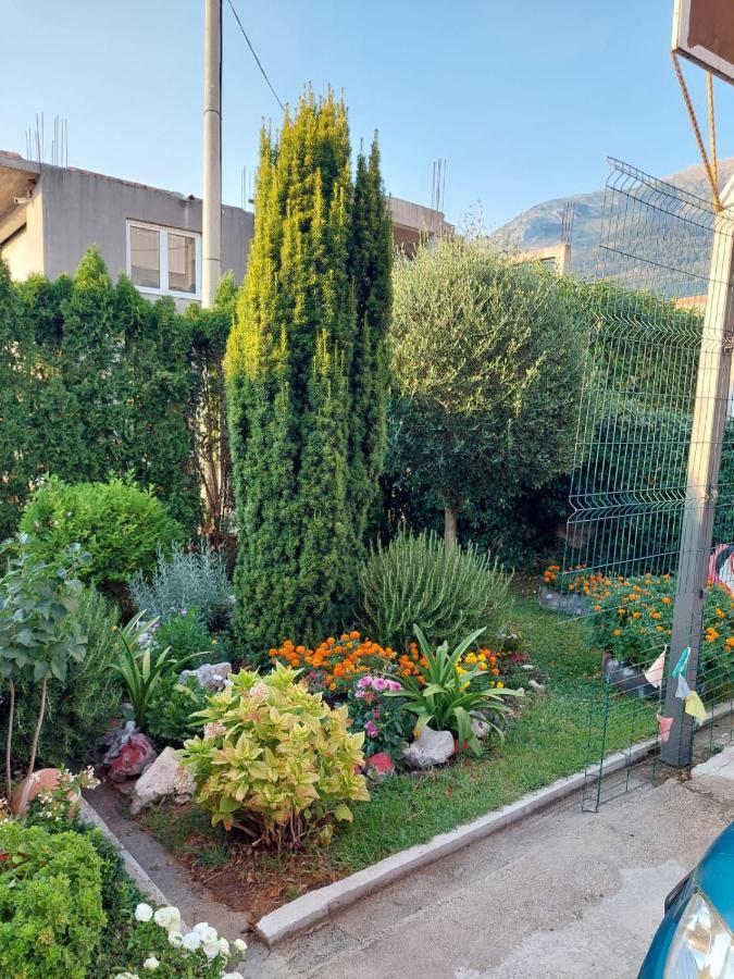 Appartement Green Oasis à Kotor Extérieur photo