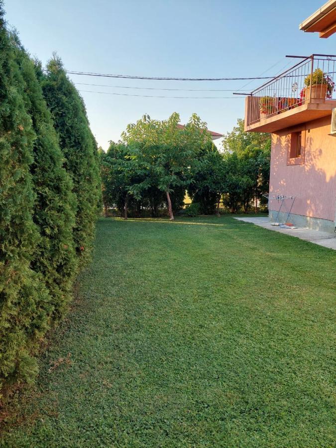 Appartement Green Oasis à Kotor Extérieur photo