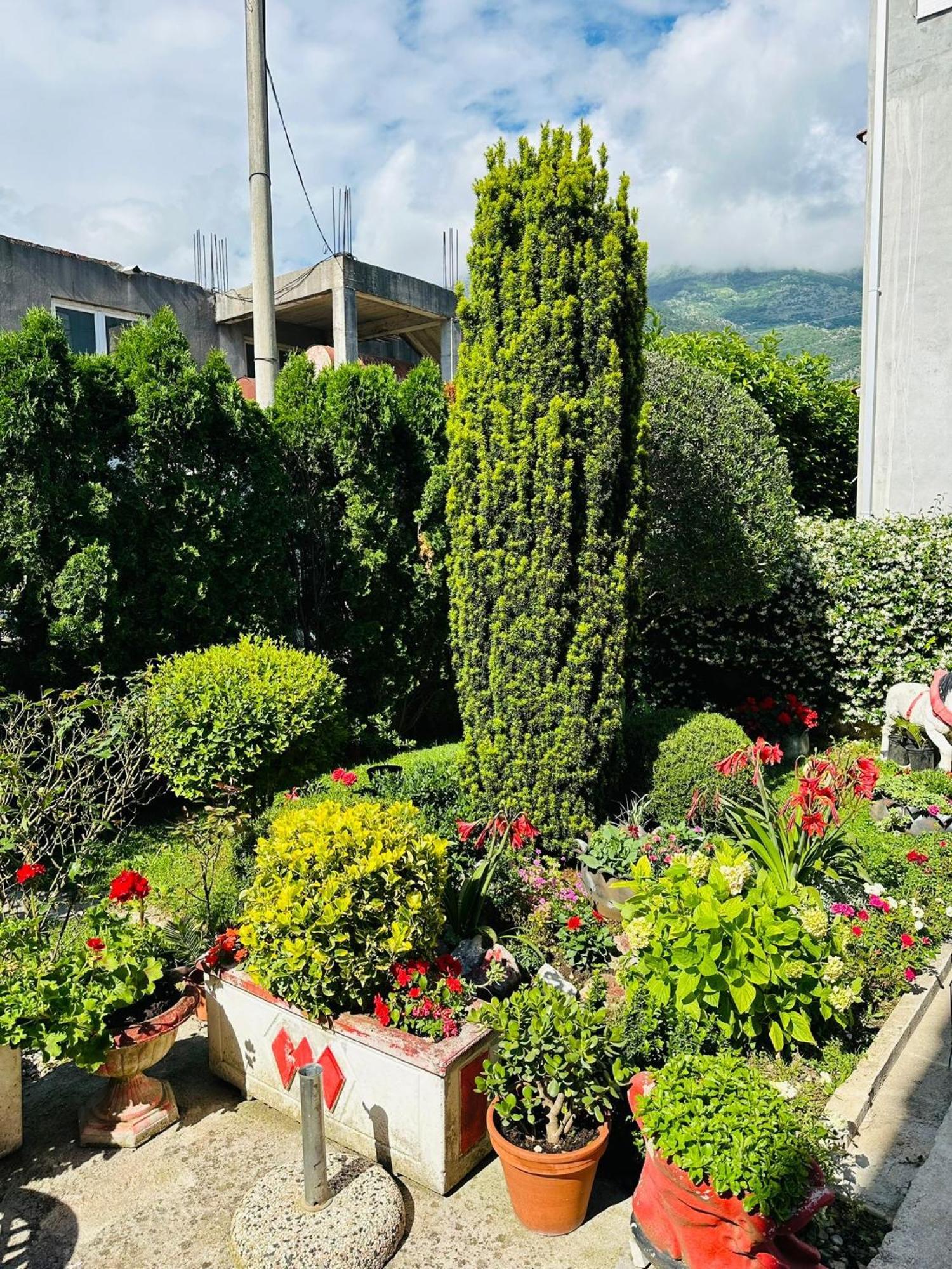 Appartement Green Oasis à Kotor Extérieur photo